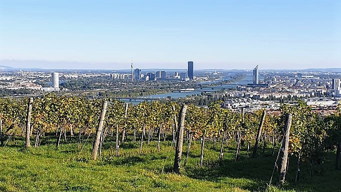 Vídeňské vinice a rakouské Heuriger