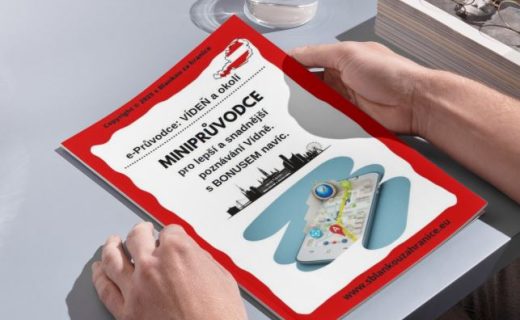 Minipruvodce obalka SEO